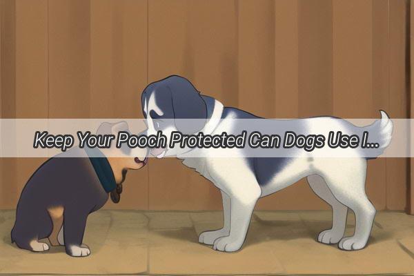 Keep Your Pooch Protected Can Dogs Use Insect Repellent Sprays